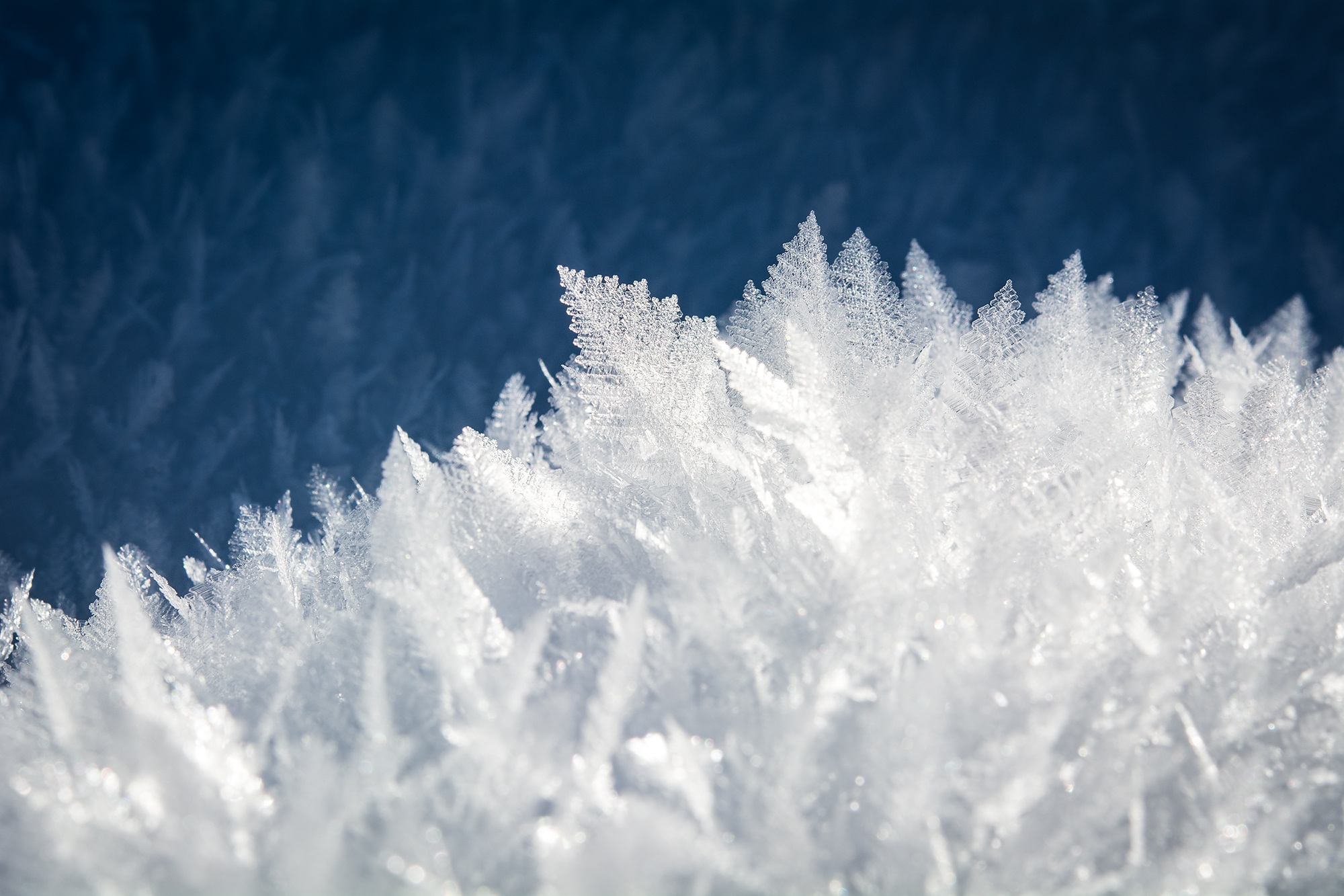 neige