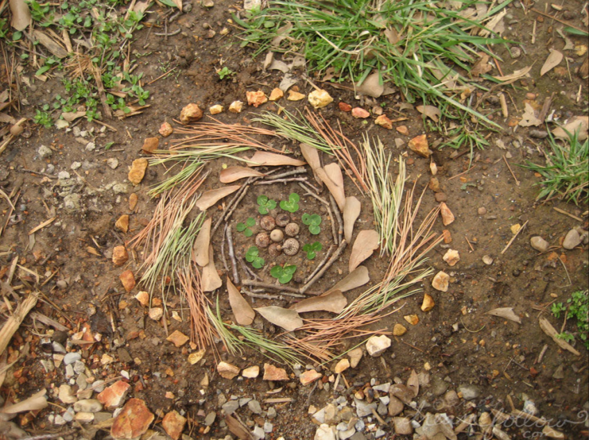 Mandala nature
