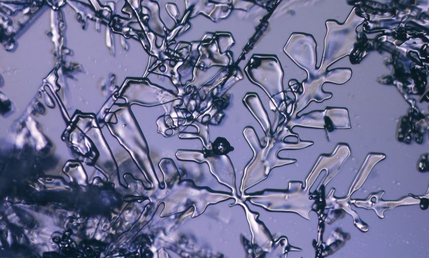 Les branches du cristal s’épaississent. La fonte a commencé. Elle va s’accélérer pour transformer cette étoile en un grain de neige sphérique.
