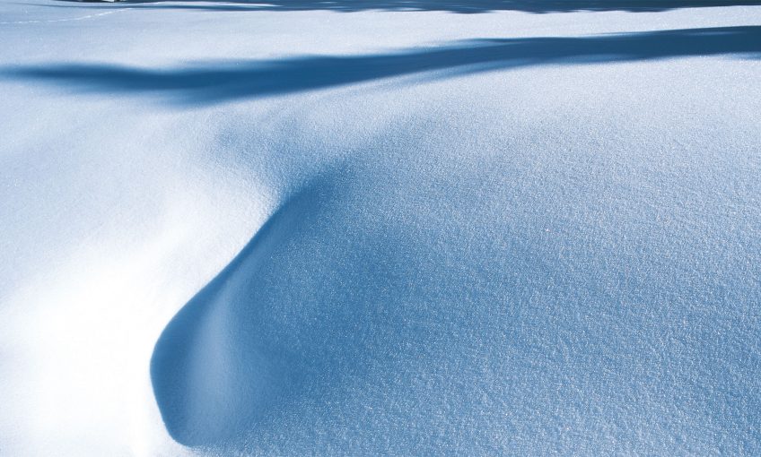 neige - La Salamandre