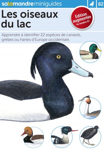 Miniguide 82: Les oiseaux du lac