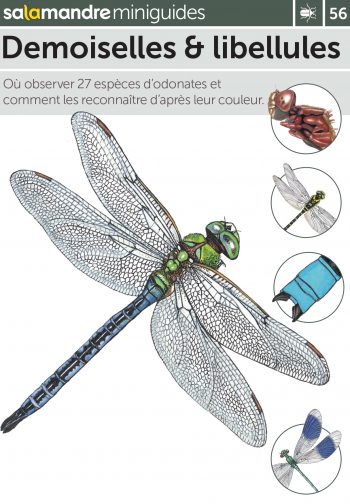 Miniguide 56 : Demoiselles et libellules