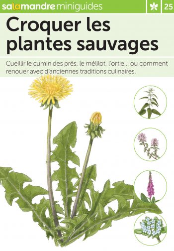 Miniguide 25: Croquer les plantes sauvages