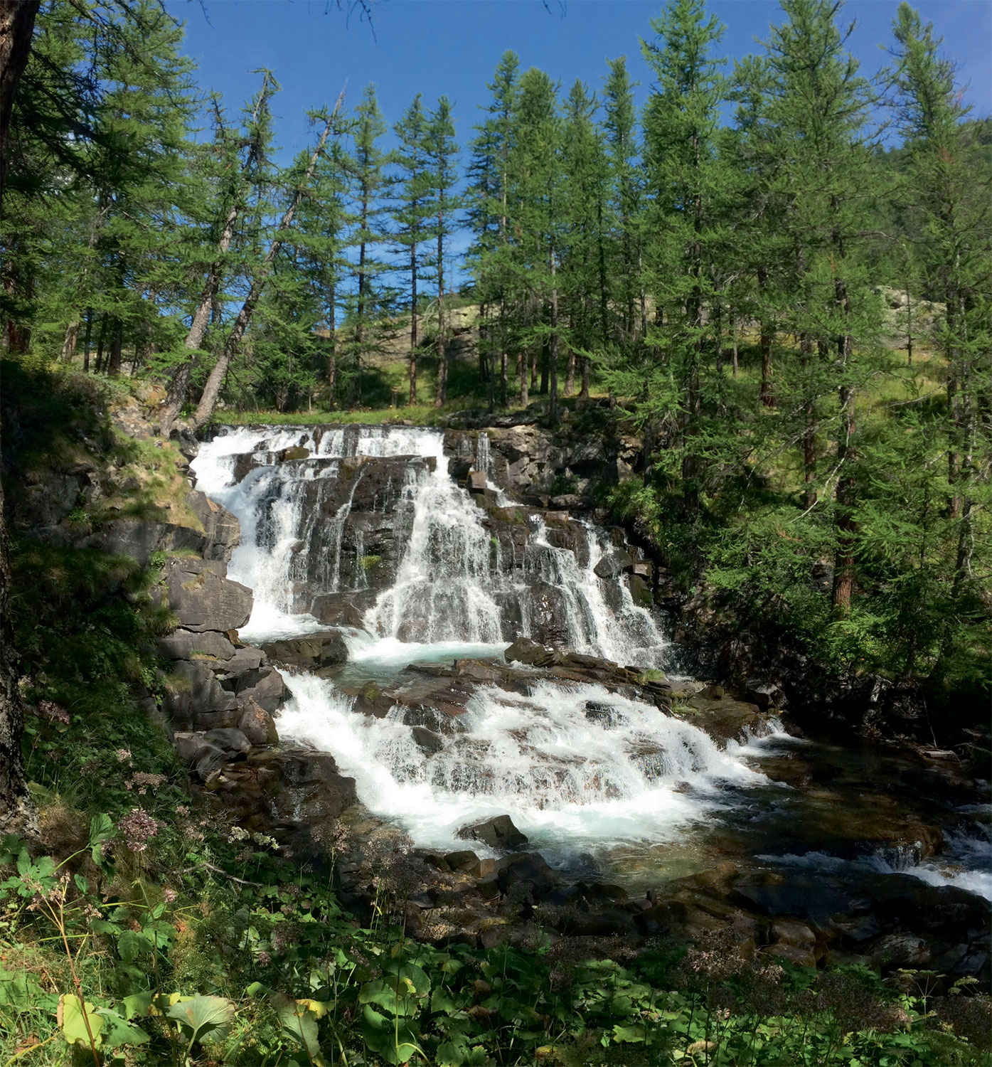 Balade dans les alpages de la vallée de la Clarée - La Salamandre