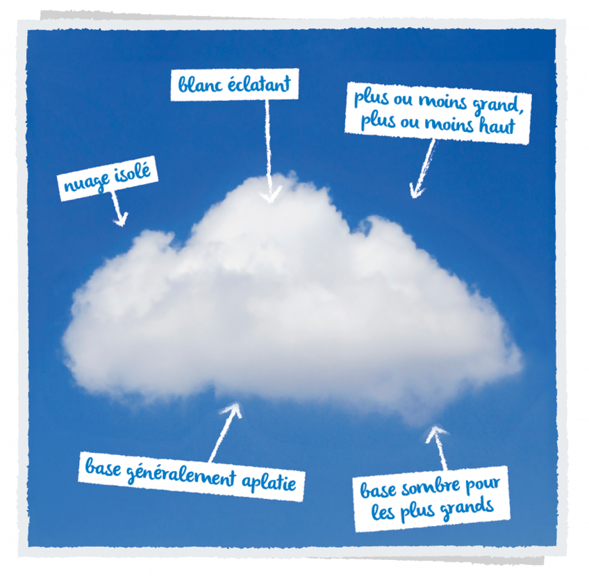 Cumulus