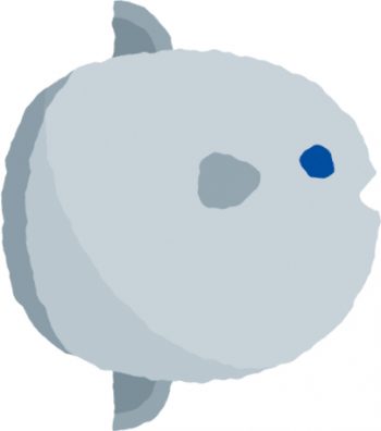 Mini poisson-lune sans épines