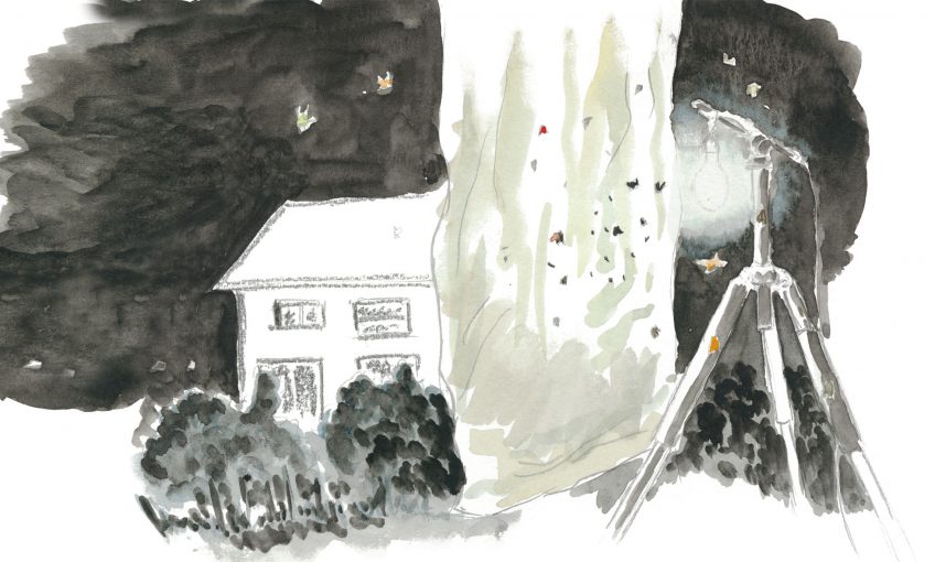 La chasse aux papillons de nuit en dessins