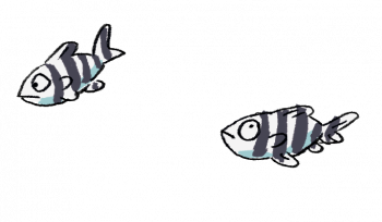 Parasite du poisson-lune