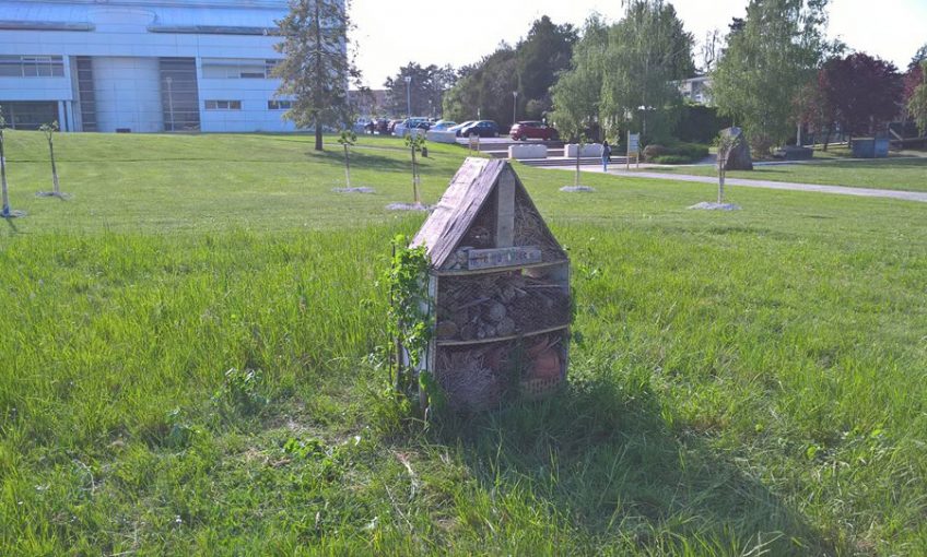 Le campus de la faculté des sciences de Reims se met au vert ! - La Salamandre