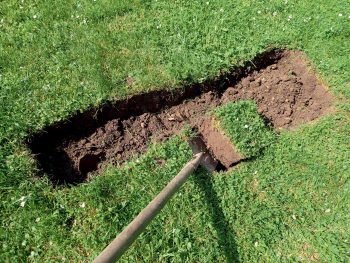 Comment installer une petite zone de marais dans son jardin ?