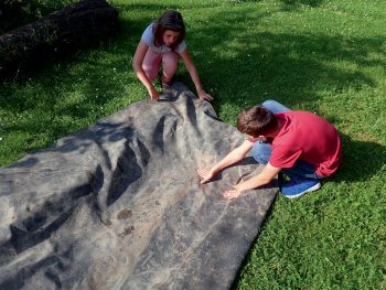 Comment installer une petite zone de marais dans son jardin ?