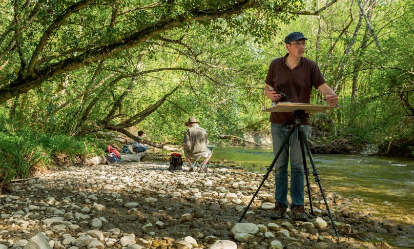 Carnet de la résidence d'artistes de la forêt des salamandres