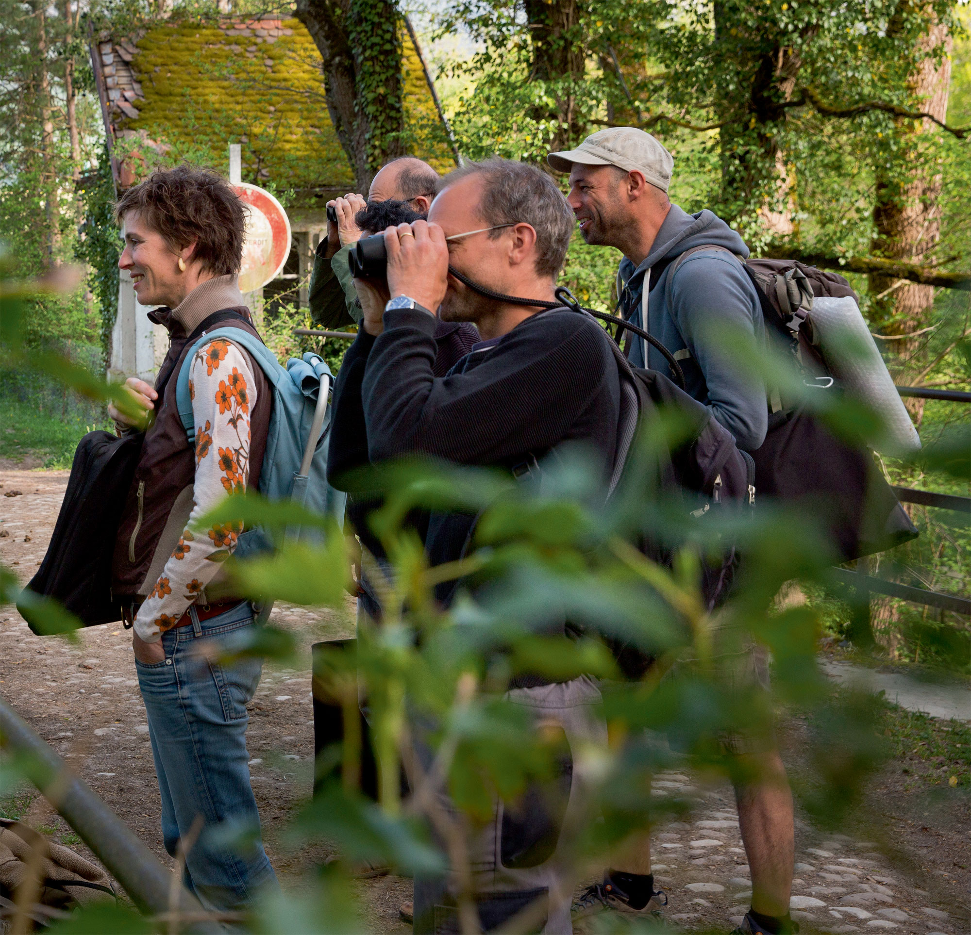Carnet de la résidence d'artistes de la forêt des salamandres