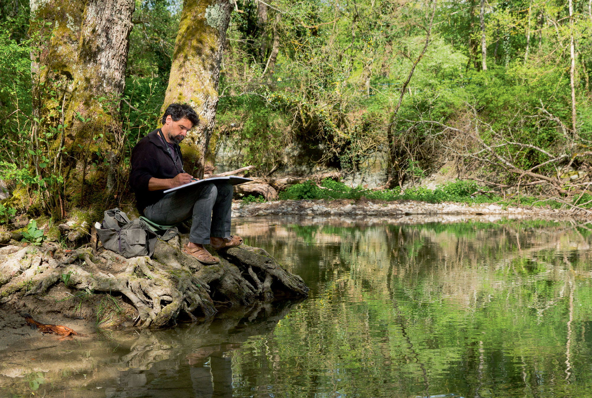 Carnet de la résidence d'artistes de la forêt des salamandres