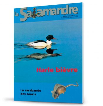 Les couvertures les plus marquantes de la revue La SalamandreLes couvertures les plus marqua