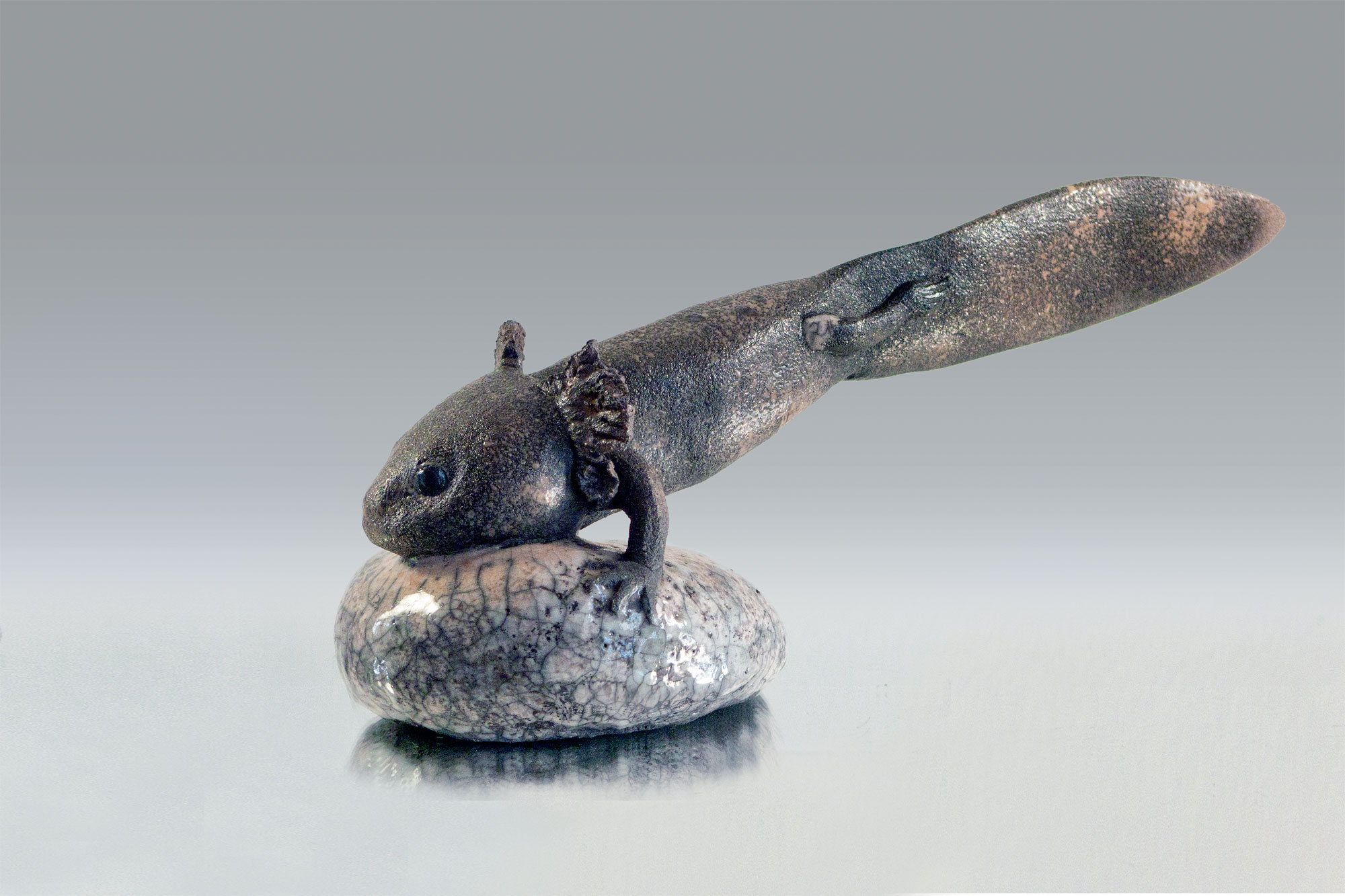 Les peintures des artistes naturalistes de la forêt des salamandres Catherine Chaillou