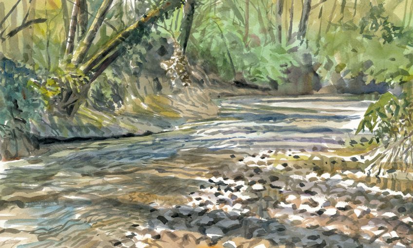 Les peintures des artistes naturalistes de la forêt des salamandres Sylvain Leparoux
