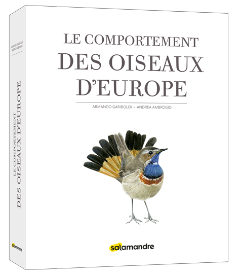 le comportement des oiseaux d'europe