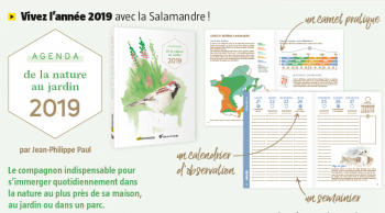 Agenda nature jardin 2019 La Salamandre Terre Vivante