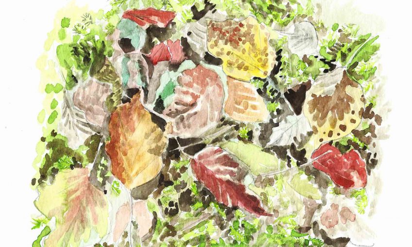 Novembre la couleur des temps sombres - La Salamandre