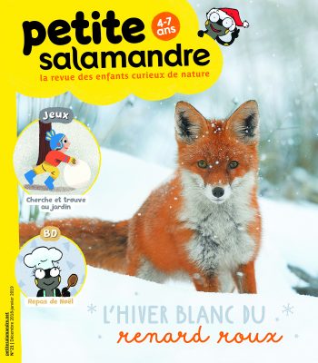 Couverture de La Petite Salamandre n°21