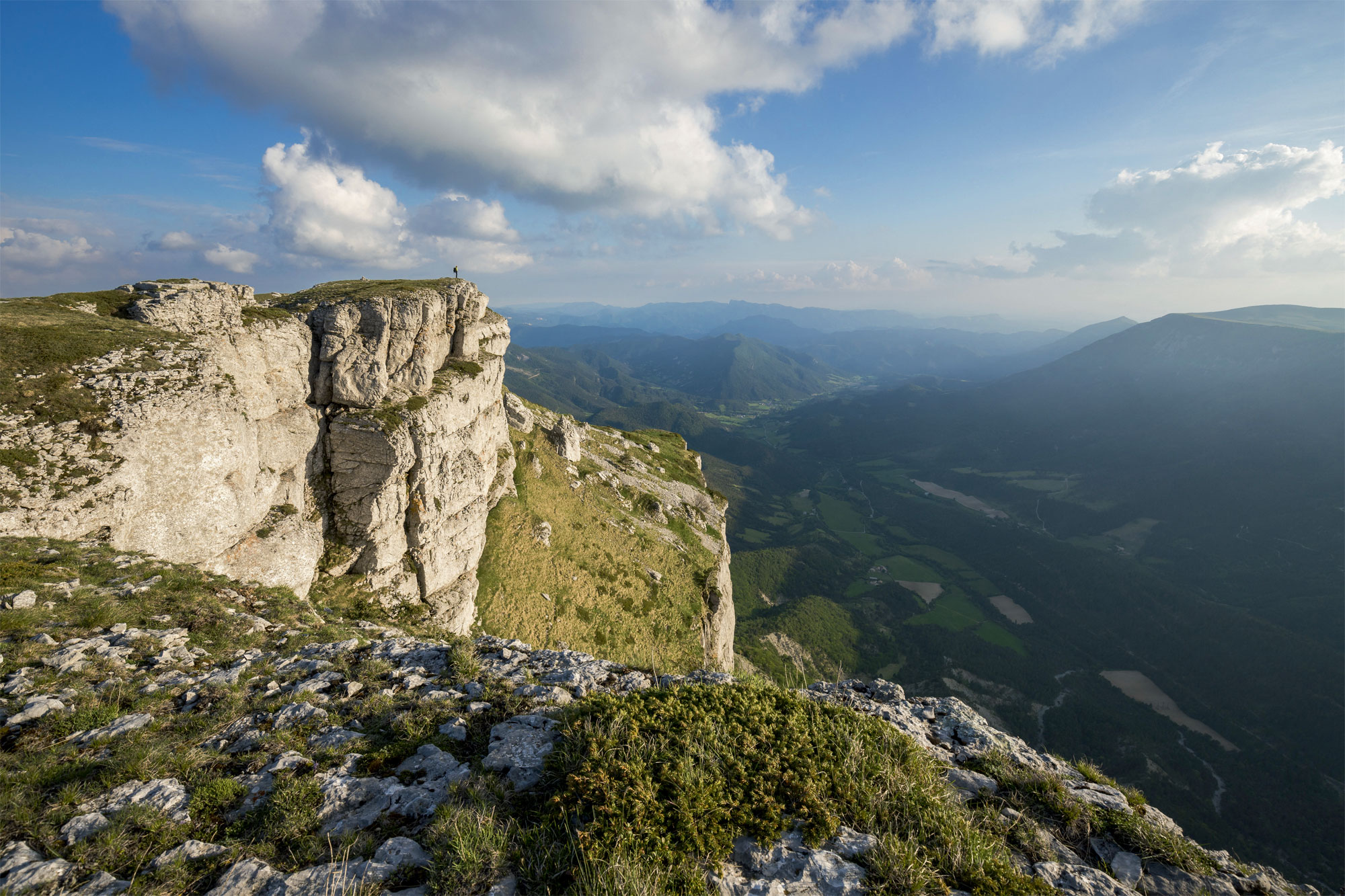 Des vautours sous son aile dans la Drôme