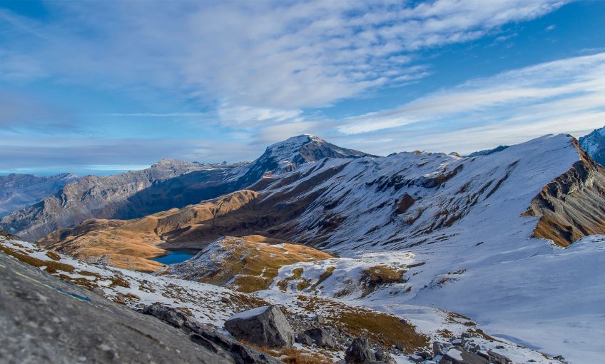 Naissance d'un premier gypaète barbu face au mont Blanc