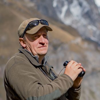 Le gypaète a un photographe engagé pour lui dans les montagnes suisses