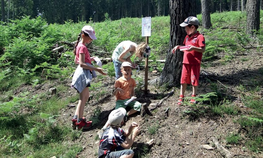 Comment faire connaître et aimer la nature au plus grand public ?