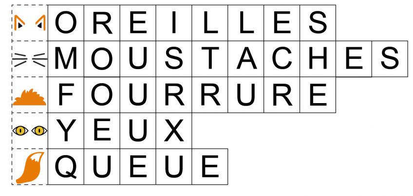 Le Renard Roux Fiche Pedagogique Cycle 1 Petite Salamandre N 21