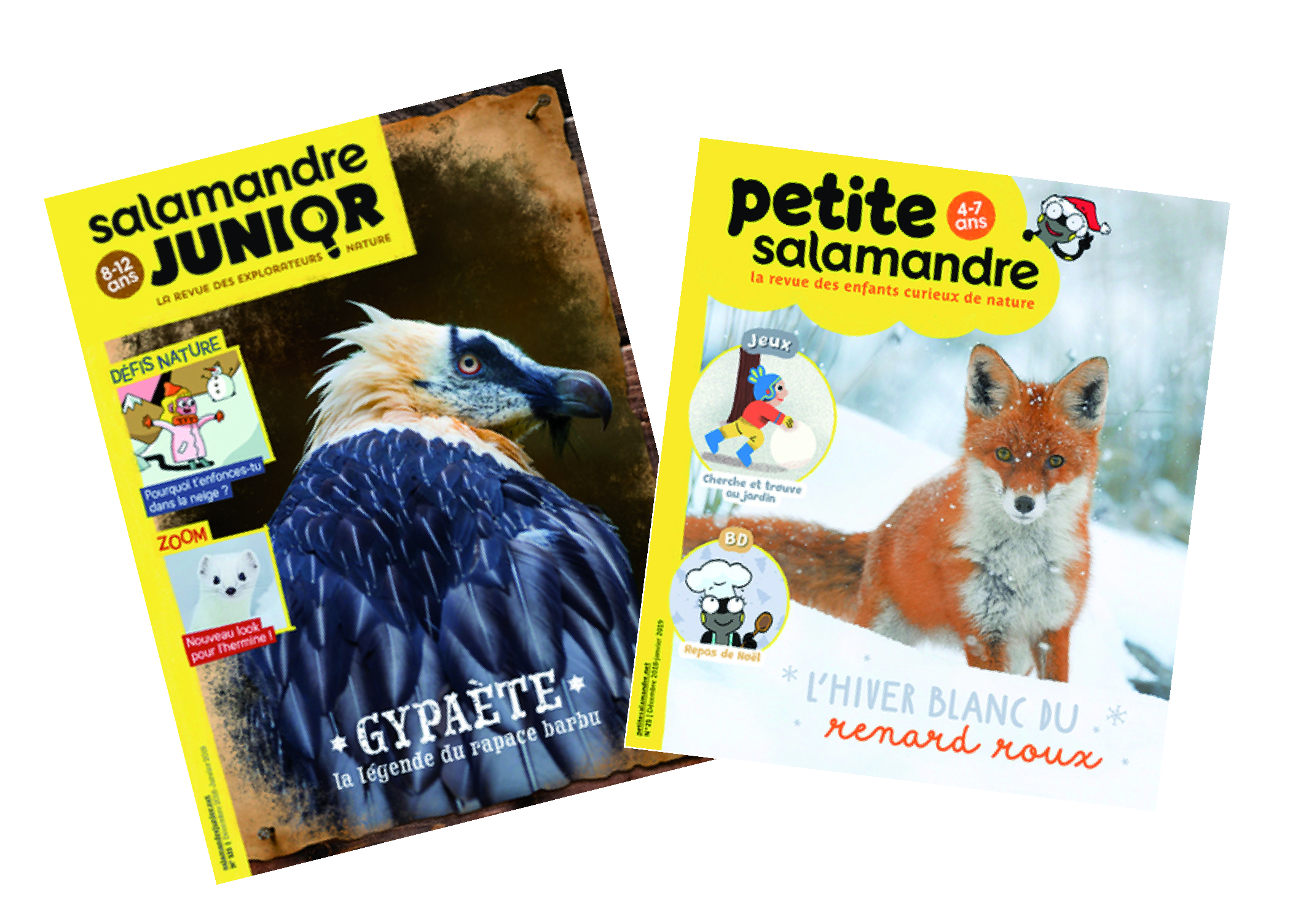 Nouveaux numéros jeunesse de la Salamandre