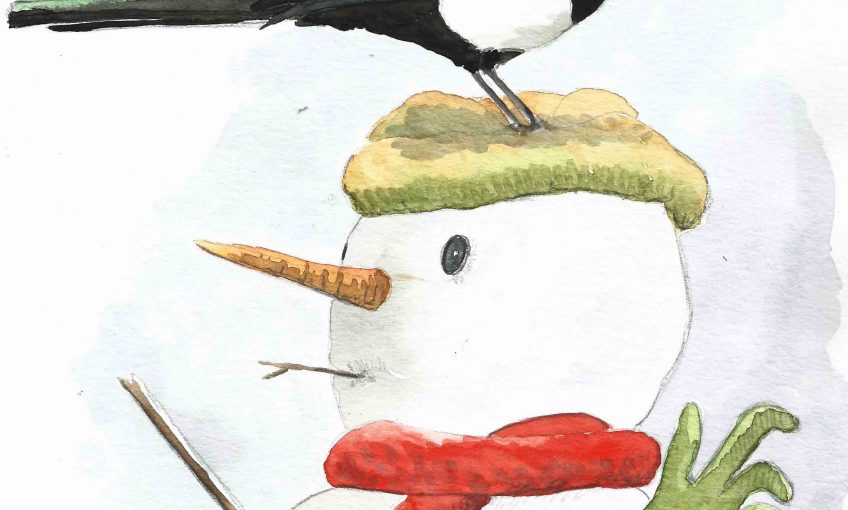 Le gant disparu à Noël, la pie accusée