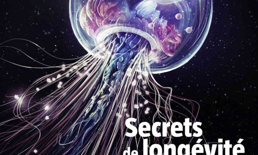 Salamandre 250 secrets de longévité