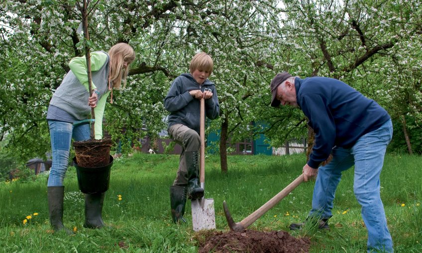 La Salamandre plante 250 arbres et vous encourage à faire de même