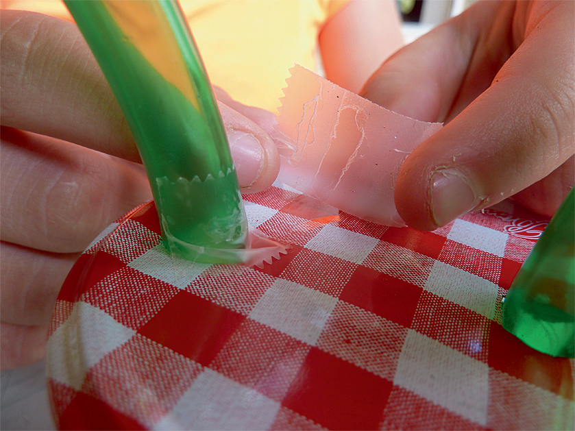 Comment fabriquer un aspirateur pour observer les insectes ?