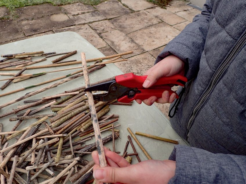 Construisez un nichoir pour les abeilles sauvages