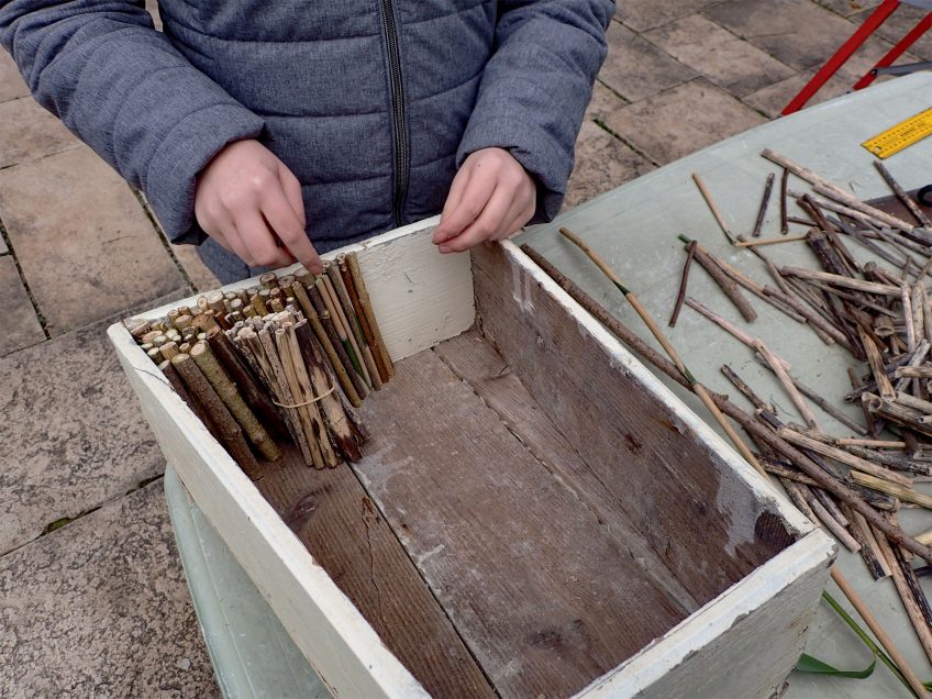 Construisez un nichoir pour les abeilles sauvages