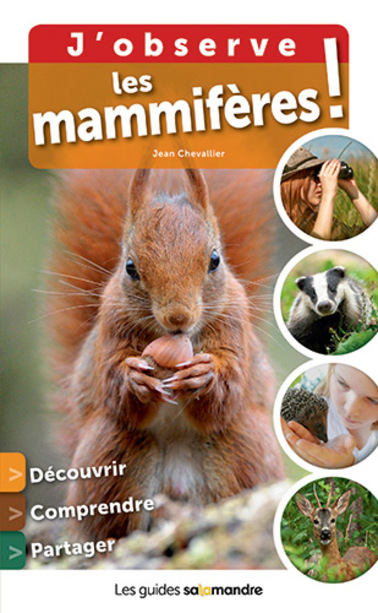 Comment trouver des bois de cerfs ?