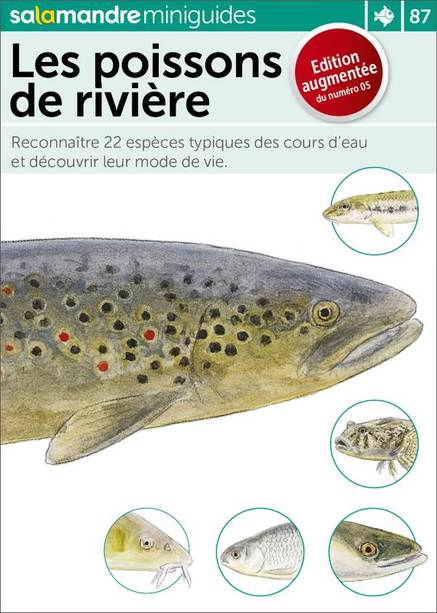 Pourquoi les truites disparaissent-elles ?