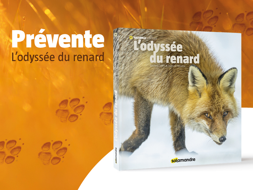 Prévente L'odyssée du renard