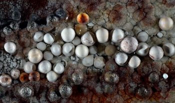 Perles des cavernes, appelées aussi pisolites. 