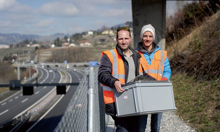 Sylvain Dubey et Joaquim Golay étudient et protègent les vipères aspics non loin de Montreux.