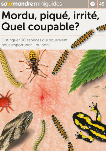 Miniguide 45 : Mordu, piqué, irrité, quel coupable ?