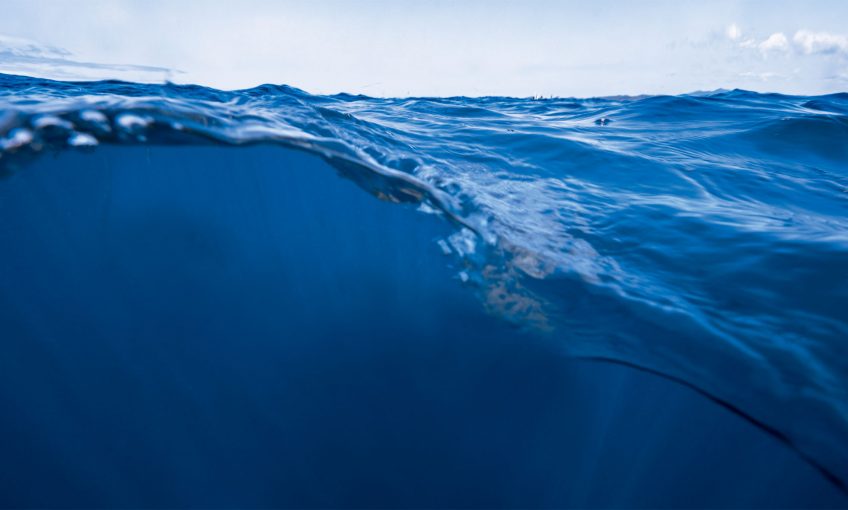 Le bleu, une couleur rare dans la nature