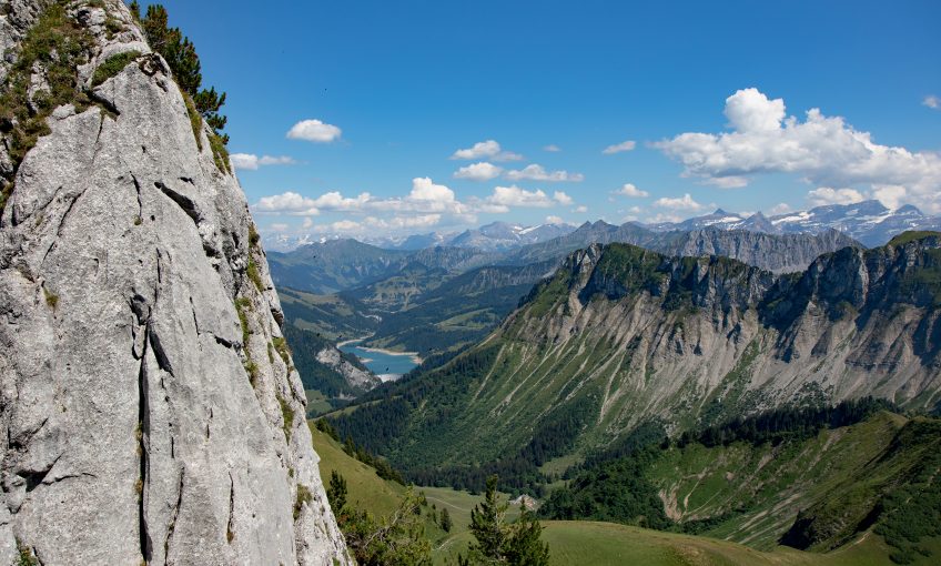 Fleurs de haute montagne, partez à leur découverte en Suisse