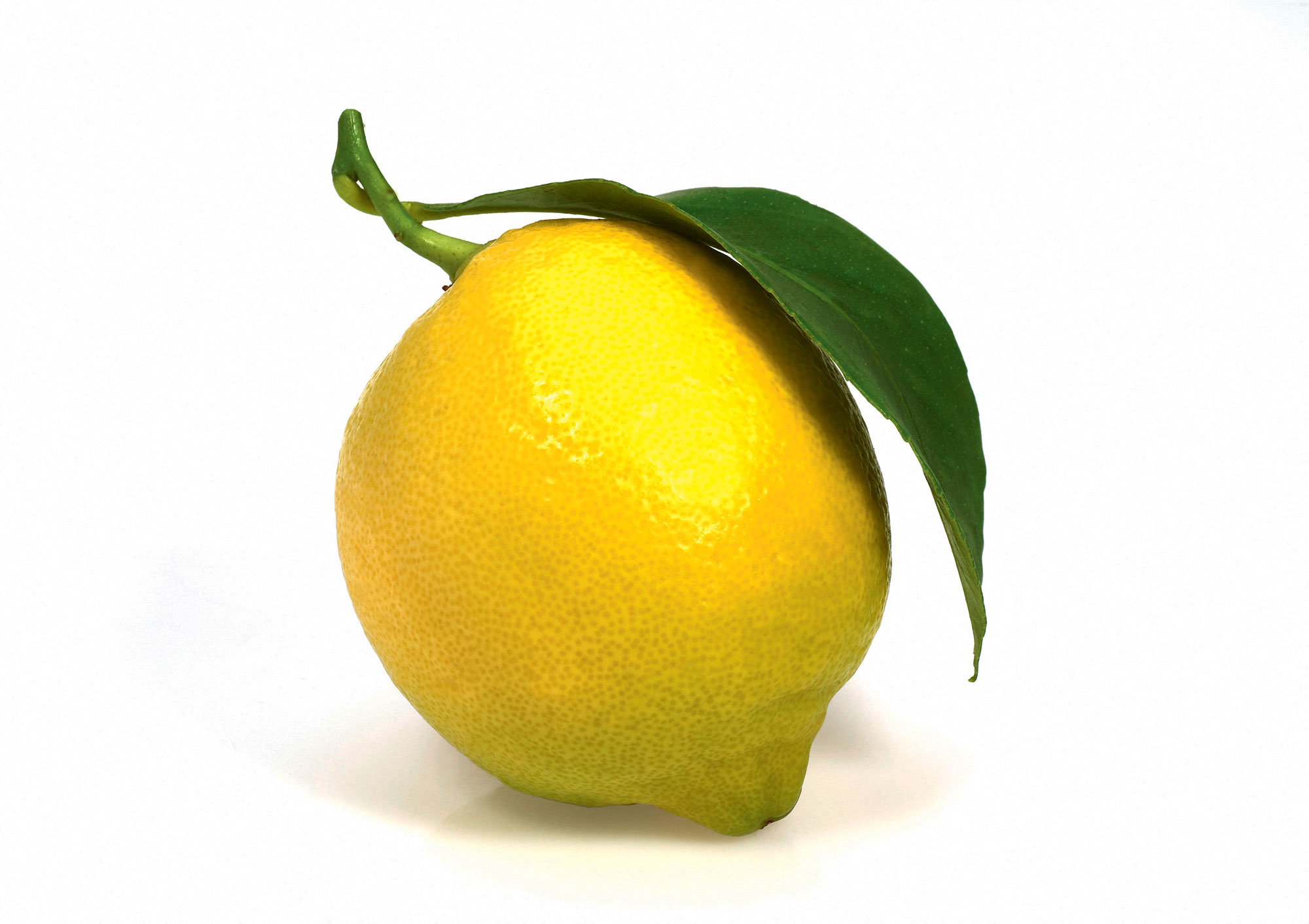 Jaune, quelles sont ses significations dans la nature