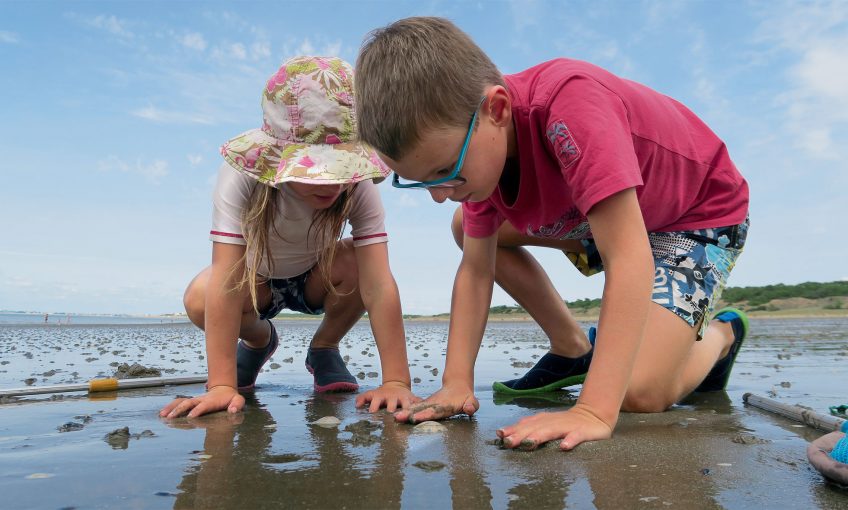 Vacances au bord de l'eau 4 conseils pour respecter la nature