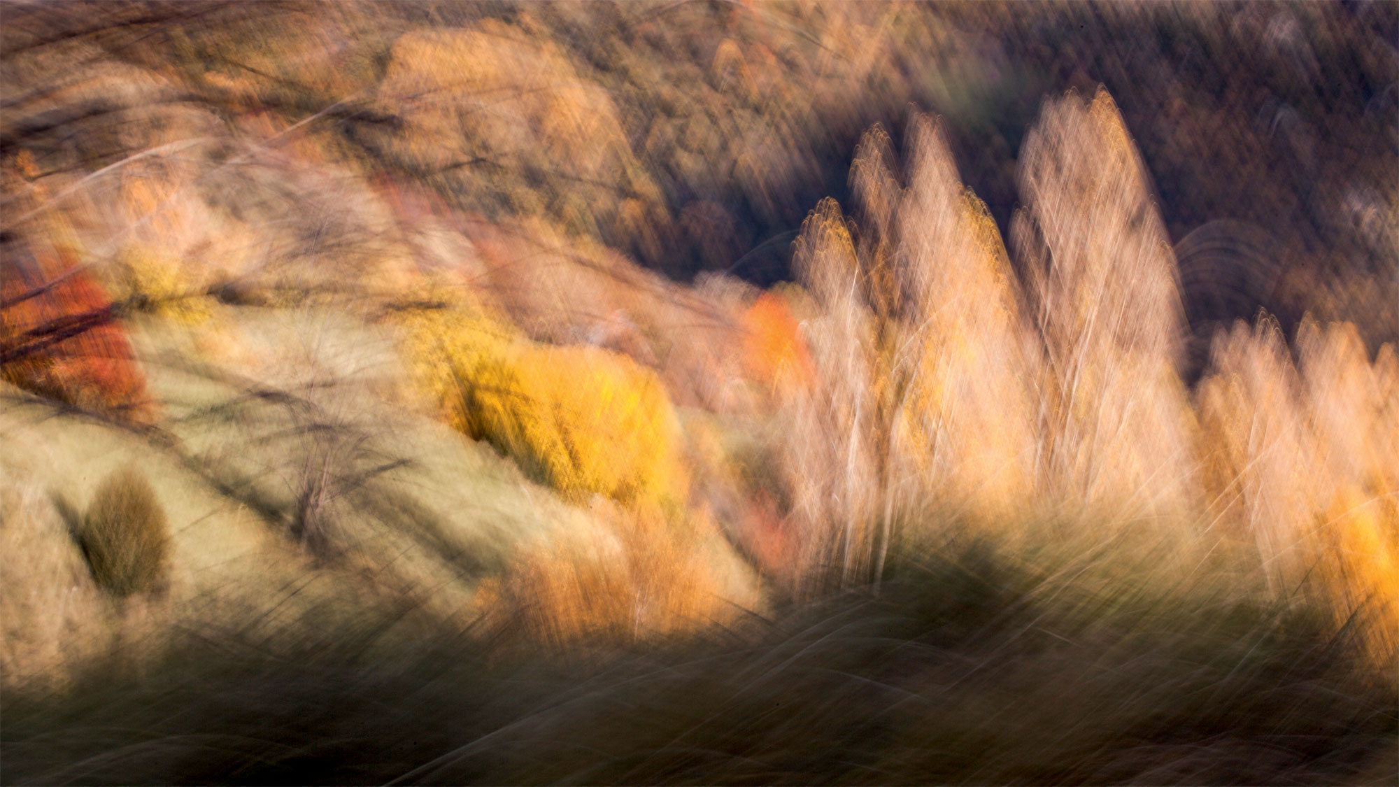 Paysages émotifs, la série de photos éblouissantes de Carole Reboul