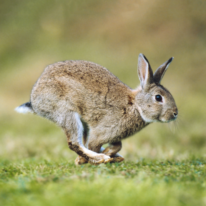 Manfred Danegger - Biosphoto