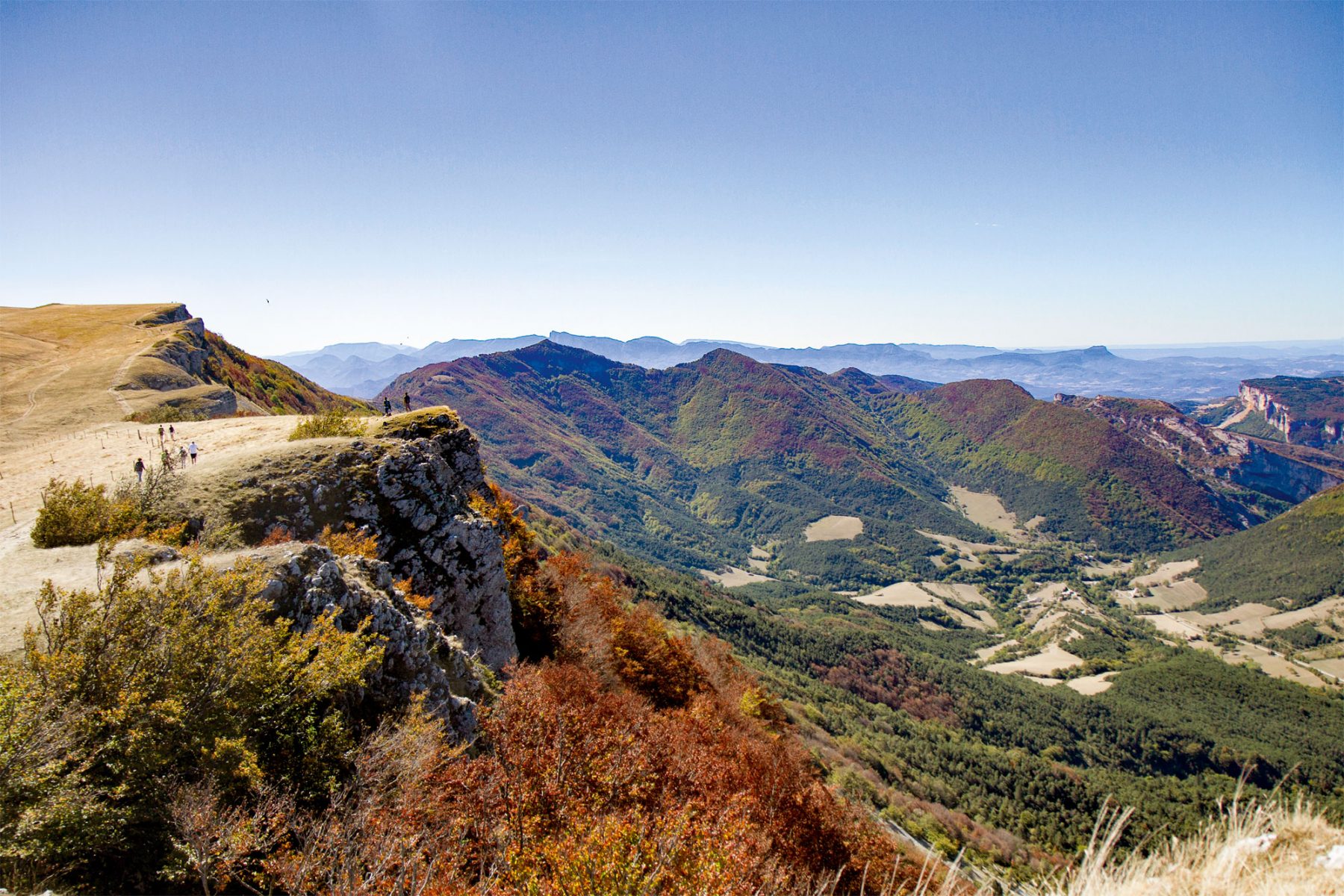 Balade automnale sur le plateau du Vercors à la recherche du cerf - La ...